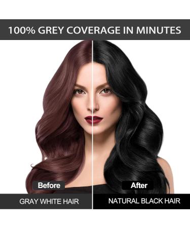 Hair Dye Shampoo Natural Hair Dye Shampoo for White Hair Hair Dye Shampoo Instant Hair Dye Shampoo Hair Color Shampoo Hair Dye (Black 500 ml) - Buy Online on GoSupps.com