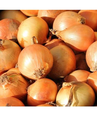Alpi Investment OOD Alpi Nature Onion Granules 1 kg onions GROORULIED OUIDEN 100 Natural in soft dried onions naturally without additives vegan onion granules - Buy Online on GoSupps.com