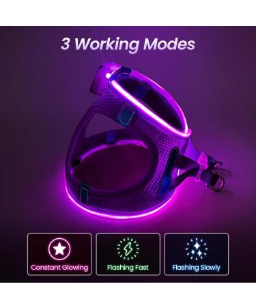 Buy PCEOTLLAR LED Dog Harness - Shining & Reflective Light-Up Harness for Small & Medium Dogs - Breathable & Charging - Purple - Buy Online on GoSupps.com