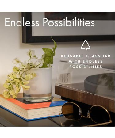 Shop ScentAir Patchouli Blanc Scented Glass Jar Candle - International Shipping Available - Buy Online on GoSupps.com