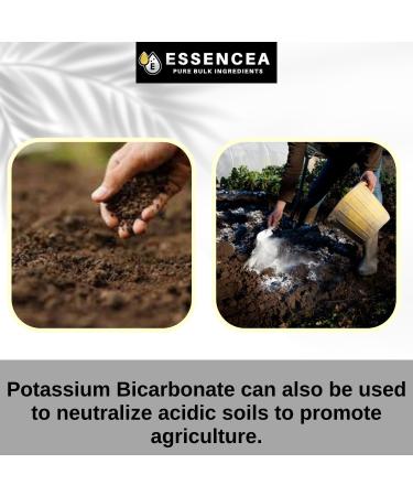 Potassium Bicarbonate 2lb by Essencea Pure Bulk Ingredients | Electrolyte and Leavening | Pure & Undiluted Potassium Supplement - Buy Online on GoSupps.com