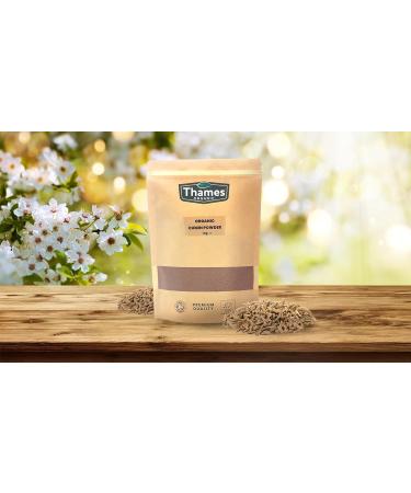 Organic Cumin Powder 100g - Premium Quality Spice for Culinary Delights - Buy Online on GoSupps.com