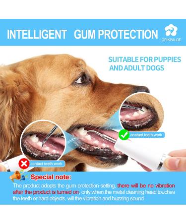 7Pcs Electric Dog Teeth Cleaning Kit for Easy Dental Care - Pet Tartar Remover & Ultrasonic Dental Cleaning Machine for Large & Small Dogs (Blue) - Buy Online on GoSupps.com