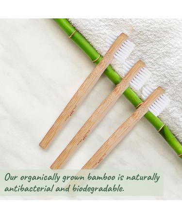 Denture Cleaner Brush - Eco-Friendly Bamboo Toothbrush for Safe Cleaning of Full & Partial Dentures - Buy Online on GoSupps.com
