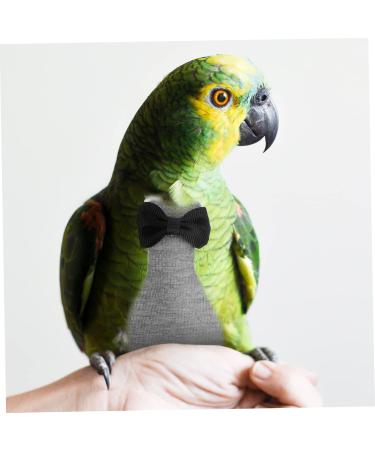 Buy Bcoath Flying Bird Diapers | Parrot Costumes & Leash | Ideal for Pet Birds - 22x12cm - Buy Online on GoSupps.com