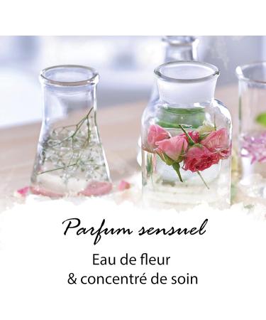 VANDINI Nutri Body Lotion for Women with Peony Flower & Argan Oil - Moisturizing Lotion for Dry Skin - Vegan Body Lotion without Silicones Parabens & Mineral Oils (1 x 200 ml) - Buy Online on GoSupps.com