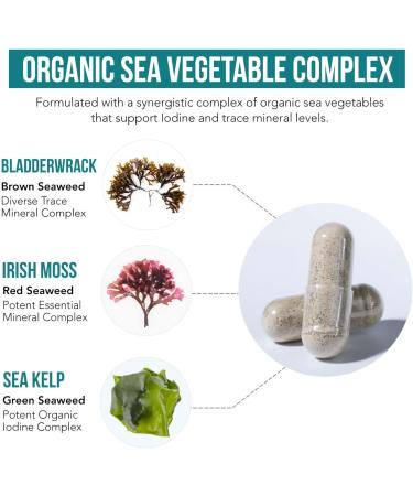 Sea Vegetable Complex Organic Iodine Supplement - 250mcg, Whole Food Raw Form with Trace Minerals, Icelandic Sea Kelp, Irish Moss, Bladderwrack - 60 Capsules - Buy Online on GoSupps.com