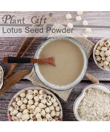 100% Natural Pure Lotus Seed Powder 100g/3.52oz poudre de lotus pour la cuisson et les boissons | sans conservateur lyophilis sans sucre ajout  - Buy Online on GoSupps.com