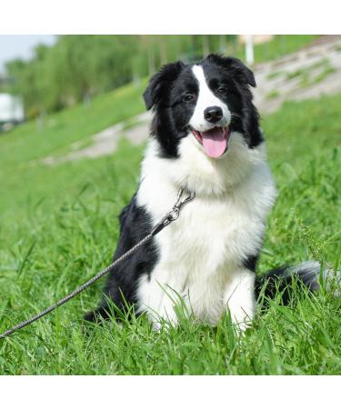 Buy X XBen 30m Drag Line Dog Leash - 8mm Thick Comfortable Padded Handle Perfect for Small & Medium Dogs - Robust Climbing Rope & Carabiner - International Shipping Available - Buy Online on GoSupps.com