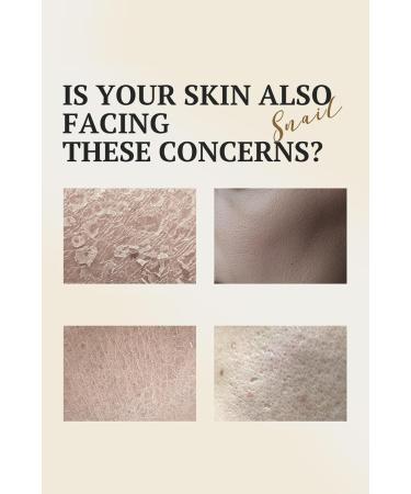 XINRAN Snail face cream moisturizer with snail mucus antiwrinkle cream vegan moisturizer with snail mucus for antiwrinkle rejuvenation for daily facial care 8 pieces - Buy Online on GoSupps.com