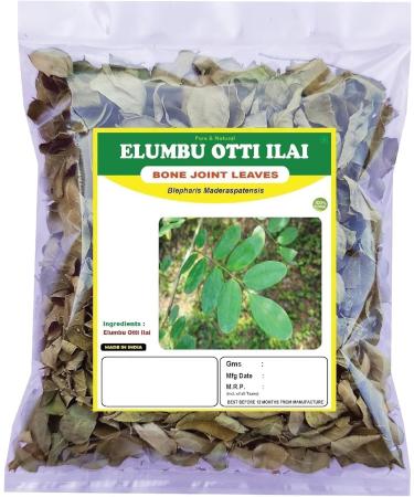 Pack of 1 Dry Elumbotti ilai Leaves - 3.52Ounce / 100Gram