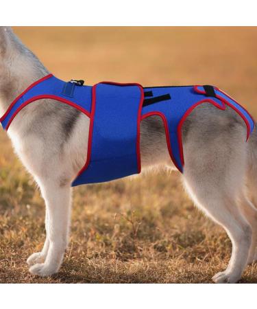 Dog Back Brace - Pet Support and Rehab Harness Soft Hip Leg Support | D-Ring and Reflective Strips Pet Back Bracer for IVDD Dogs Back Prevention Recovery and Rehabilitation - Buy Online on GoSupps.com
