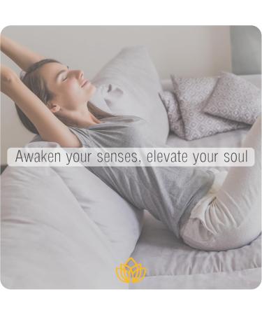 Buy Splendor Hotel Pure Essential Oil - Honeydew Pear & Apple - Aromatherapy Diffuser Refill - Organic Natural Oils - 3.4oz | International Shipping - Buy Online on GoSupps.com