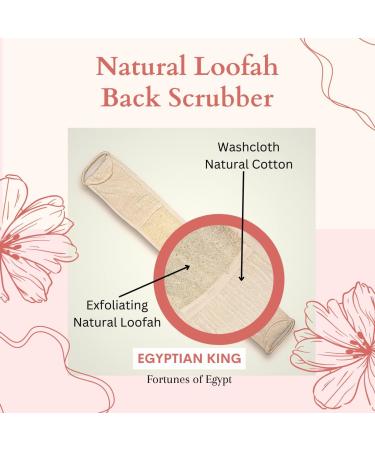 Extra Long Natural Egyptian Loofah Exfoliating Back Scrubber | Deep Clean & Invigorate Your Skin | Men and Women - Buy Online on GoSupps.com