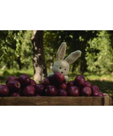 Babybio - Small Chestnut Apple Pots 2x130 g - ORGANIC - Pack of 6 - Buy Online on GoSupps.com