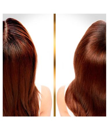 Hair Biology Cleanse & Reconstruct Conditioner 160ml - Ideal for Oily Roots & Damaged Ends | Shop Internationally - Buy Online on GoSupps.com