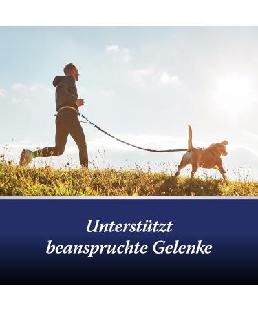 Canosept Joint Tablets for Dogs - Unique Formula with Green Lipped Mussel Glucosamine & Omega 3 - 80 Tablets for Joint & Bone Health Osteoarthritis Relief - Buy Online on GoSupps.com