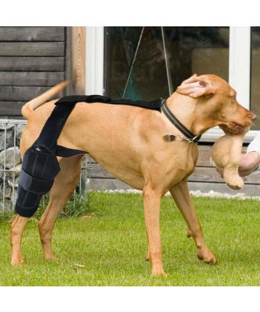 Dog ACL Knee Brace | Brace Behind Leg Neoprene Hip Brace Support Dog Knee Brace Adjustable Traction Belt for Cruciate Ligame for Cruciate Ligament Injury for Torn ACL Leg L right - Buy Online on GoSupps.com