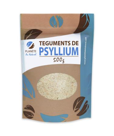Psyllium Blond Integuments - 500g