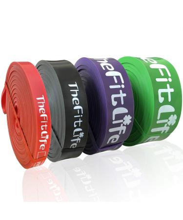 TheFitLife Resistance Pull Up Bands - Pull-Up Assist Exercise Bands Long Workout Loop Bands for Body Stretching Powerlifting Fitness Training Bonus Carrying Bag and Workout Guide Red+Black+Purple+Green