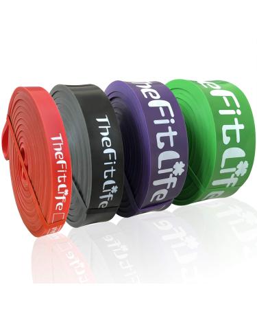 TheFitLife Resistance Pull Up Bands - Pull-Up Assist Exercise Bands Long Workout Loop Bands for Body Stretching Powerlifting Fitness Training Bonus Carrying Bag and Workout Guide Red+Black+Purple+Green - Buy Online on GoSupps.com