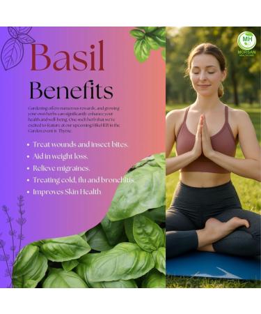 Morsan Basil Capsules | Holy Basil (Tulsi) Supplement | Natural Herbal Formula | Vegan & Gluten-Free | Non-GMO | Ayurvedic Wellness Support | 60 Veg Capsules | Made in India 1 - Buy Online on GoSupps.com