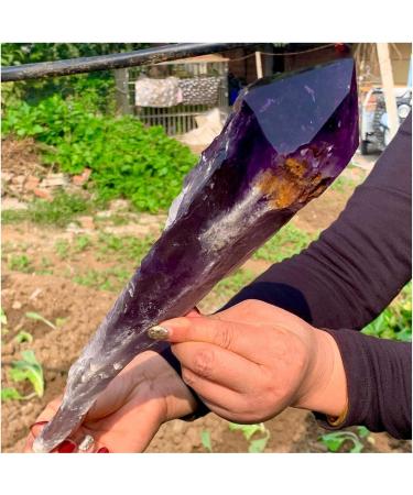 Natural Crystal Rough Natural Amethyst Scepter Specimen 1pc (Size : 1500-1600g) - Buy Online on GoSupps.com