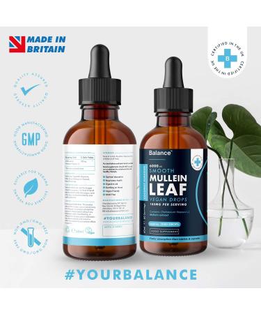 Balance Mullein Leaf Liquid Drops - 120ml for 4 Month Supply - High Strength - Vegan - 120 Servings - Premium Mullein Leaf Extract - 6 000mg per Bottle - Sublingual for Fast Absorption - Made in UK 60 ml (Pack of 2) - Buy Online on GoSupps.com