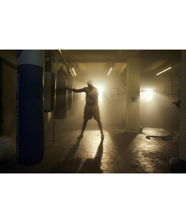 Furocity Sugar-Free Energy Drink by Tyson Fury - Black & Blue Raspberry, 157mg Caffeine, Zero Calories, High in Vitamins B6, B12, and Taurine - 12 x 500ml Cans - Buy Online on GoSupps.com