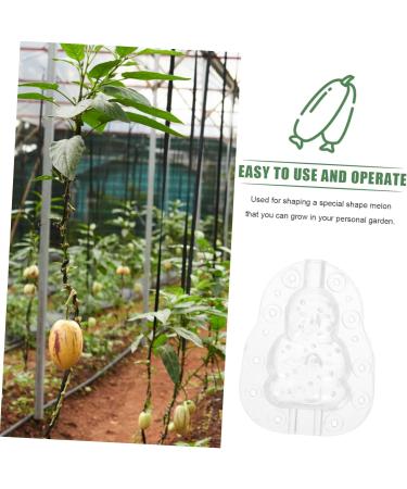 VANZACK Gardening Tools 3pcs Vegetable Fruit Ginseng Cucumber Adorable Forming Melon Gourd Garden Tools Transparent 9x8cm - Buy Online on GoSupps.com