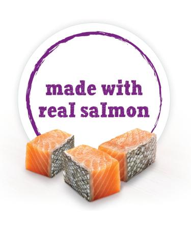 Beneful Incredibites Wet Dog Food for Small Dogs Real Salmon P t - 85 g Can (24 Pack) - Buy Online on GoSupps.com