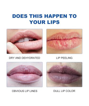 Moisturizing Lip Balm Repair Stick | Aloe Vera & Honey Formula for Dry Chapped Lips | 24HR Hydration with Vitamin B12 & Peony Extract (3.8g - Buy Online on GoSupps.com