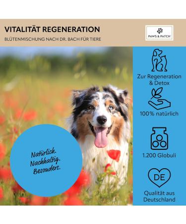 Buy Paws & Patch Vitality Regeneration Detox Flower Mix for Dogs & Cats - 10g Bach Flower Globules for Detox Cure - International Shipping Available - Buy Online on GoSupps.com