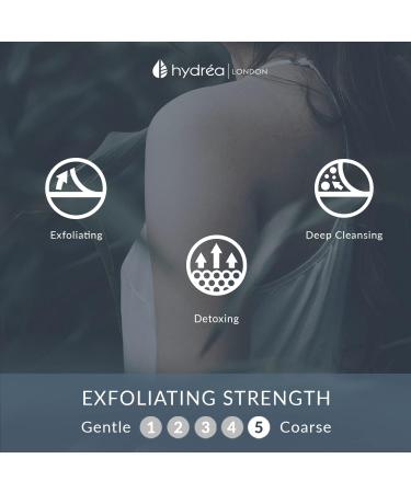 Hydrea London Double-Sided Nail Brush with Natural Cactus Bristles - Vegan Fingernail and Tough Toenail Cleaner - FSC Certified Beechwood - Buy Online on GoSupps.com