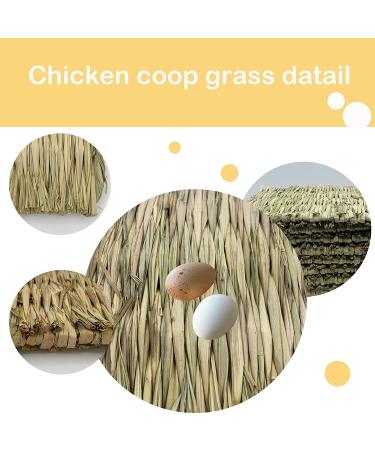 Handwoven Grass Nesting Box Pads for Chickens and Small Animals - Set of 6 Natural Straw Mats - Buy Online on GoSupps.com
