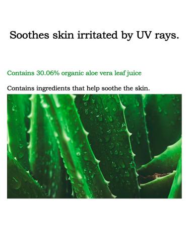 priming water Non-nano sun protection Dr. Orga Premium Sun Protection Cream (SPF50+ PA+++) 1.01 FL.OZ. - Buy Online on GoSupps.com