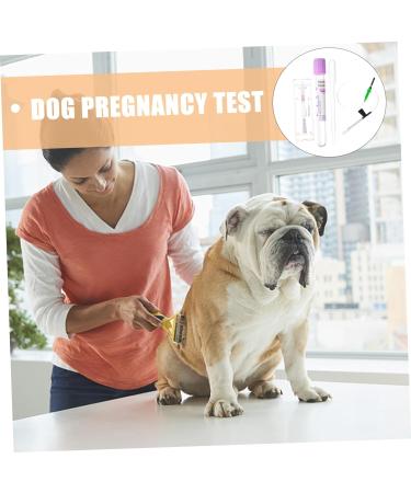Dog Pregnancy Kit - Early Pregnancy Test Strip for Dogs - Health Products & Tools - Buy Online on GoSupps.com