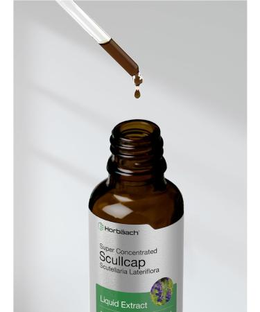 Horb ach Scullcap Herb Liquid Extract | 2 fl oz Tincture | Super Concentrated | Alcohol Free Vegetarian Non-GMO Gluten Free Skullcap Supplement - Buy Online on GoSupps.com