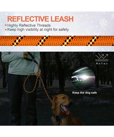 Buy Iokheira 15m Drag Line for Dogs | Training Leash with 360 Carabiner & Hand Loop - Reflective Orange - Perfect for Large & Small Dogs - Buy Online on GoSupps.com