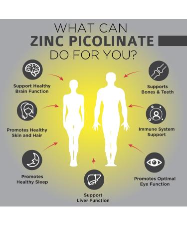 OmniBiotics Zinc Picolinate 30mg Supplement High Absorption Zinc for Immune System Healthy Skin and Energy Support 180 Vegan Capsules 180 Count (Pack of 1) - Buy Online on GoSupps.com