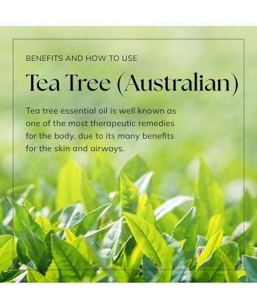 Nikura Pure Australian Tea Tree Essential Oil for Skin Nail Fungus Face Hair Acne Piercings Head Lice | Diffuser Oil for Home Candle & Soap Making | 10ml | Vegan & UK Made Tea Tree (Australian) - Buy Online on GoSupps.com
