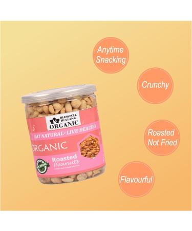 Blessfull Healing Organic Natural Vegan Indian Chat Masala Roasted Peanuts Crunchy Healthy Snacks 300 Gram - Buy Online on GoSupps.com