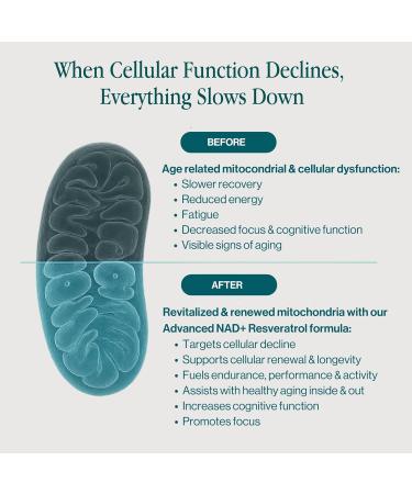 ENSANTE Advanced NAD+ Supplement 500mg with Resveratrol Quercetin Nicotinamide Riboside NAD Supplement for Women Men for Cellular Longevity Anti Aging Cognitive Support 60 Veggie Capsules USA - Buy Online on GoSupps.com