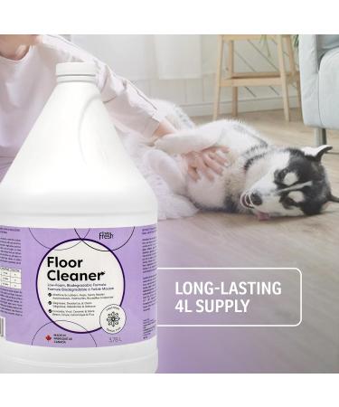 EnviroFresh Floor Cleaner Disinfectant Deodorizer 99.99% Eliminates Germs Bacteria and Viruses Pet Safe Biodegradable Fresh Scent 4 Litres - Buy Online on GoSupps.com