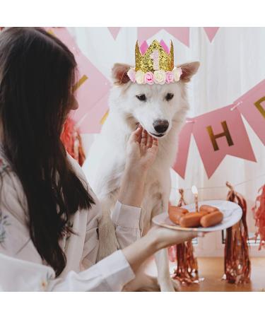 Haomaomao Baby Crown Princess Gold Tiara Crystal Hat | Girls 1st Birthday Gift - Buy Online on GoSupps.com