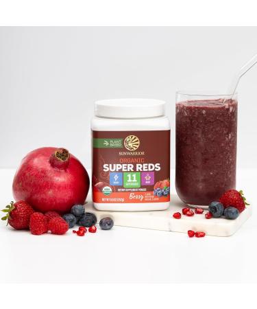 Organic Super Reds Powder 11 Superfoods with Beet Root Berries Reishi & Cordyceps Natural Energy Circulation & Immune Support USDA Organic Vegan Non-GMO Gluten-Free Superfood Drink 28 Servings - Buy Online on GoSupps.com
