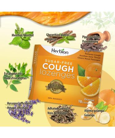 Herbion Naturals Sugar-Free Cough Lozenges with Natural Orange Flavour Relieves Cough Clears Nasal Congestion Soothes Sore Throat For Adults and Children 12 years and above (Pack of 6) 108 Count - Buy Online on GoSupps.com