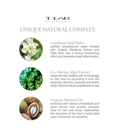 T-LAB PROFESSIONAL Blond Ambition Elixir - Hair Repair Serum for Blonde & Color Treated Hair | Deep Moisturizing & Smoothing | 5.07 Fl Oz - Buy Online on GoSupps.com