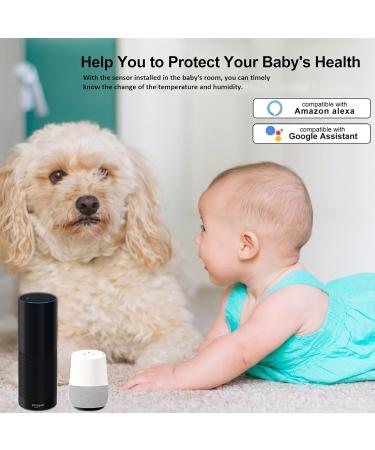 Comboss WiFi Hygrometer Thermometer Sensor - Wireless Temperature & Moisture Monitor for Indoor/Outdoor Use | Remote App Notifications (4-Pack) - Buy Online on GoSupps.com