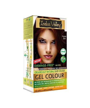 Indus Valley Burgundy Gel Hair Dye Colouring Kit 3.6